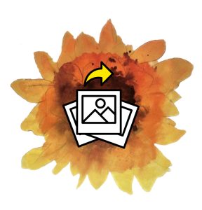 SOT-Flower-for-photos