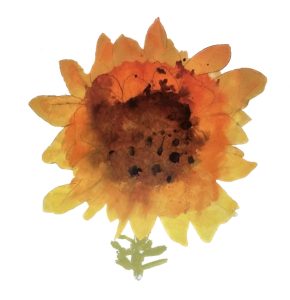 SOT-Flower